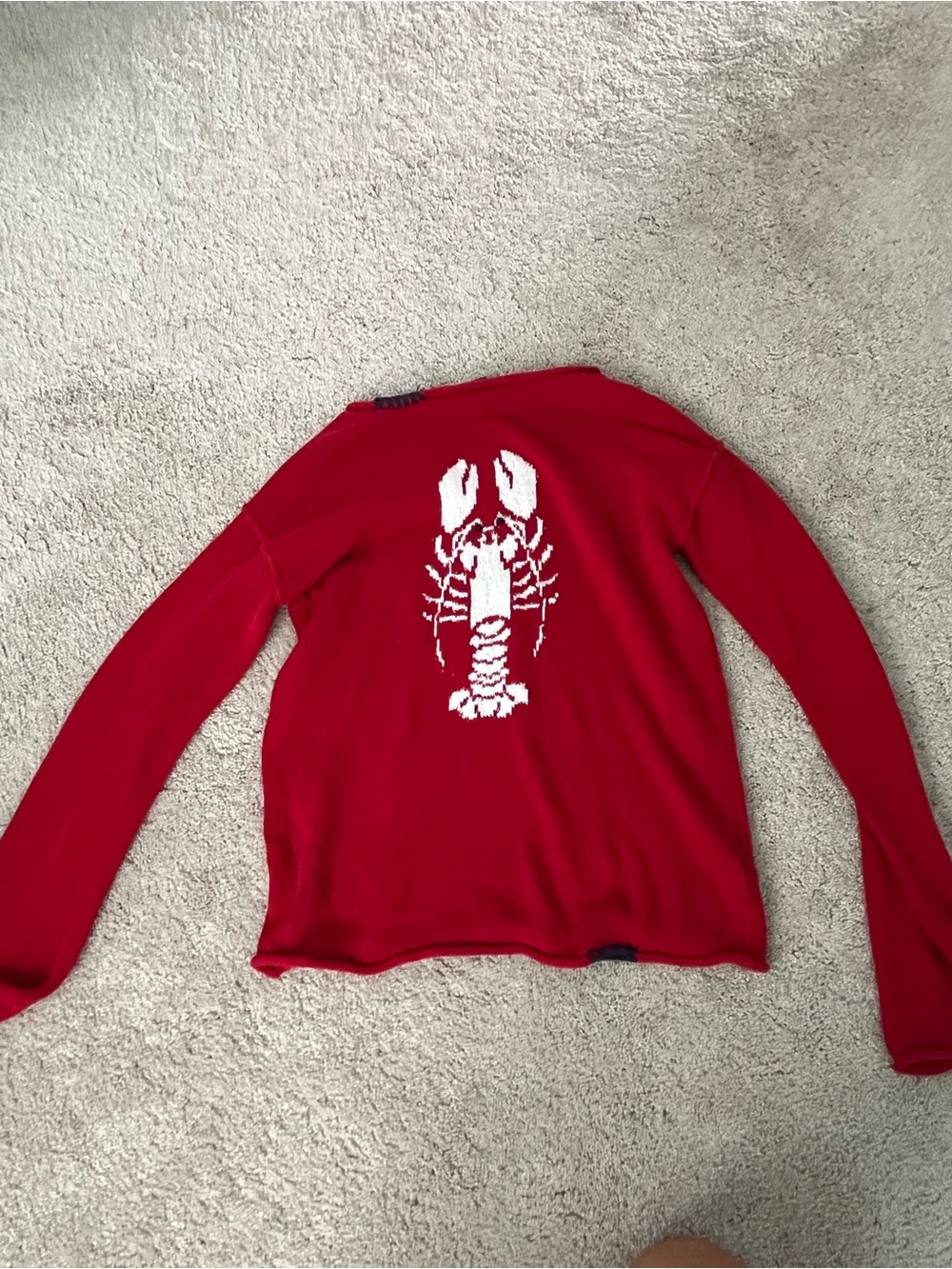 wild fable Red Knit Sweater with White Accent